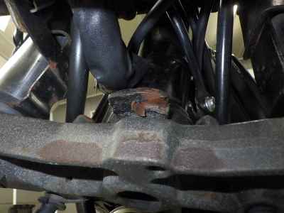 Suzuki Goose 250