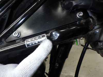 Suzuki Goose 250