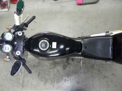 Suzuki Goose 250