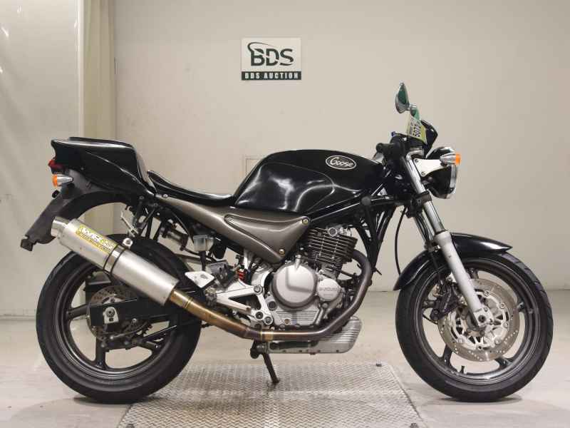 Suzuki Goose 250