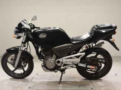 Suzuki Goose 250