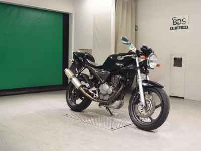 Suzuki Goose 250