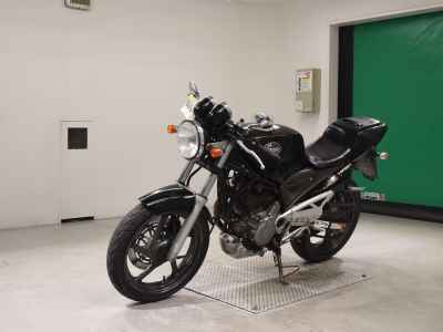 Suzuki Goose 250