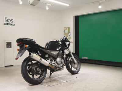 Suzuki Goose 250