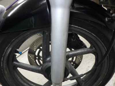 Suzuki Goose 250