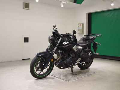 Yamaha MT-25 2016