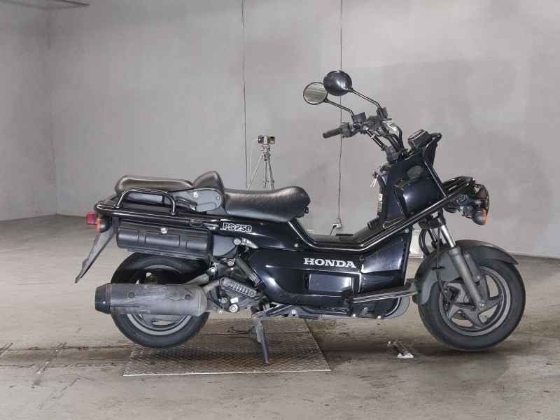 Honda PS250 Big Ruckus