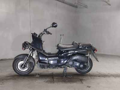 Honda PS250 Big Ruckus