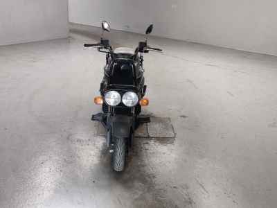 Honda PS250 Big Ruckus