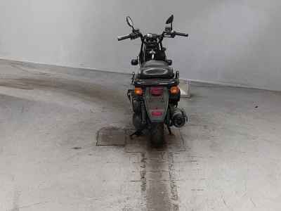 Honda PS250 Big Ruckus