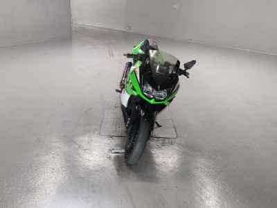Kawasaki Ninja 250R