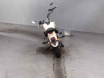 Yamaha XVS250 Drag Star