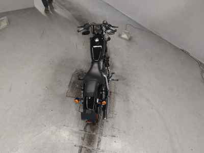 Harley-Davidson Sportster XL1200N 2009