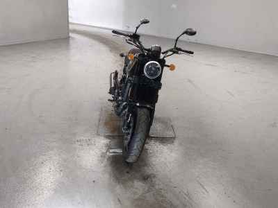 Harley-Davidson X500 2024