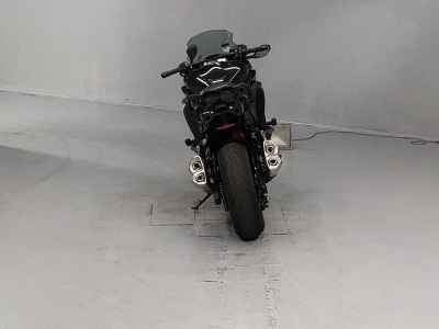 Kawasaki Ninja 1000 2017