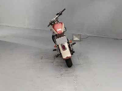 Yamaha Virago XV250