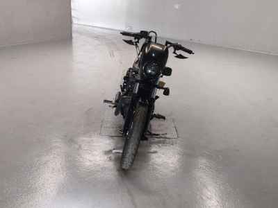 Harley-Davidson XL883N 2018
