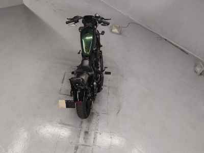 Harley-Davidson XL883N 2018