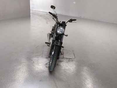 Suzuki GrassTracker Bigboy