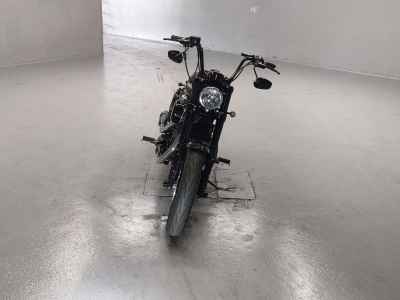 Harley-Davidson Roadster XL1200CX 2018