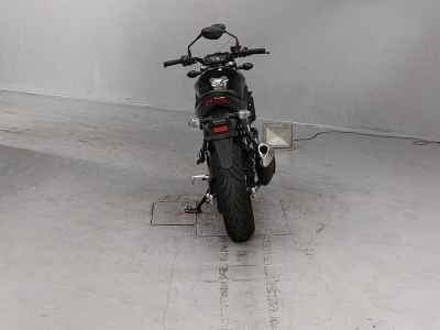 Suzuki SV650 2023