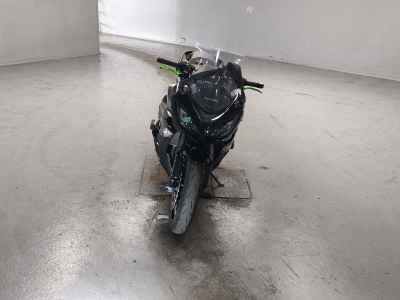 Kawasaki Ninja 1000 2019