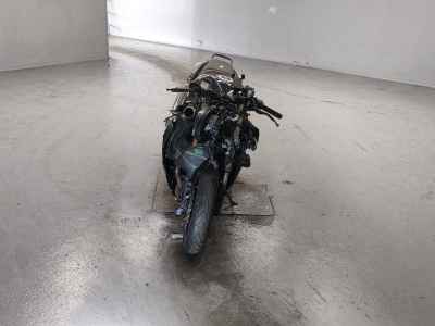 Kawasaki ZZR1400 2021