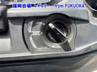 Suzuki Skywave 250M