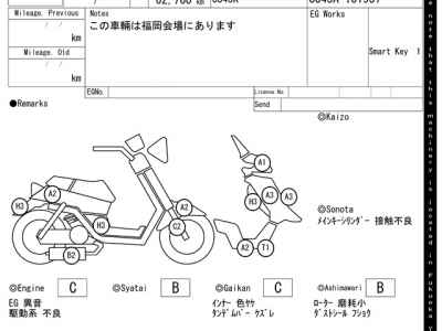 Suzuki Skywave 250M