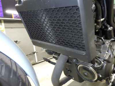 Honda Rebel S CMX250 2025