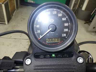 Harley-Davidson Sportster Iron XL883N 2019