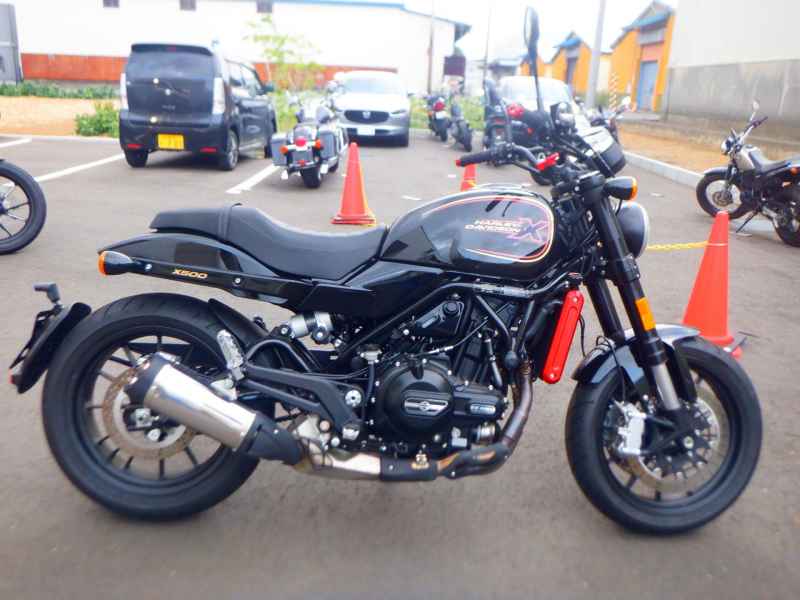 Harley-Davidson X500 2024