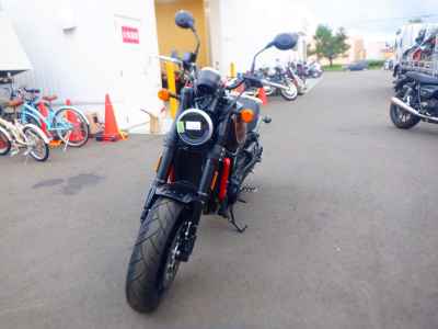 Harley-Davidson X500 2024