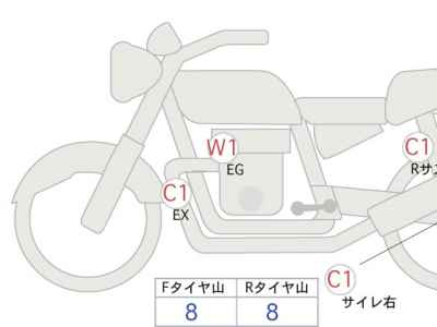 Kawasaki W800 2025