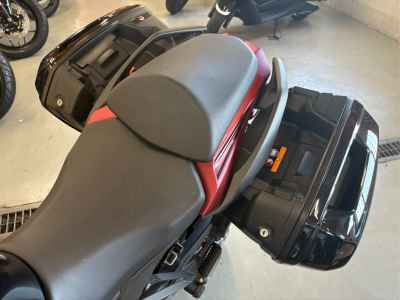 Kawasaki Ninja 1000SX 2022