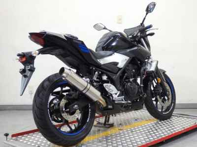 Yamaha MT-25