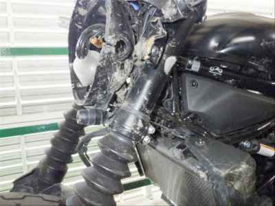 Kawasaki Eliminator 400 2024