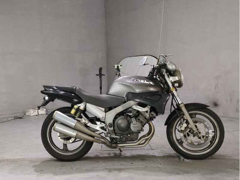 Yamaha ZEAL FZX250