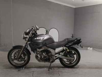 Yamaha ZEAL FZX250