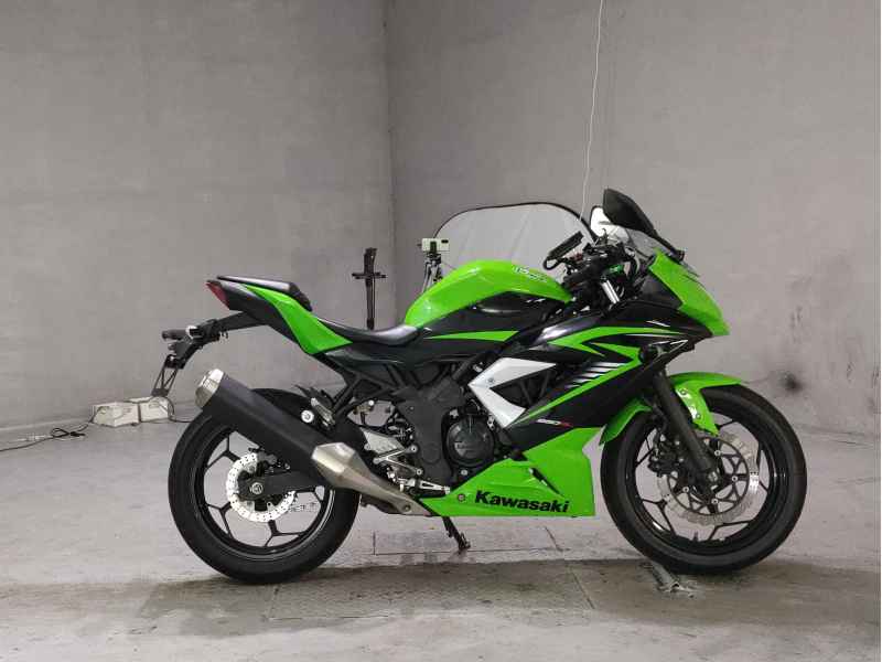 Kawasaki Ninja 250 2015