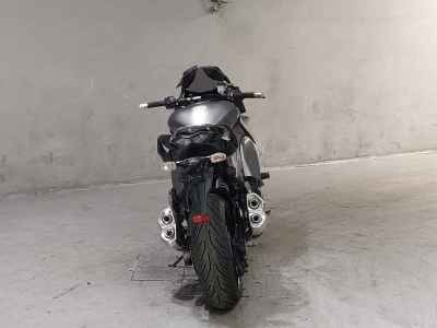 Kawasaki Ninja 1000 2014