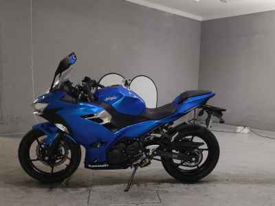 Kawasaki Ninja 250 2018