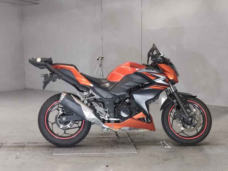 Kawasaki Z250 2014