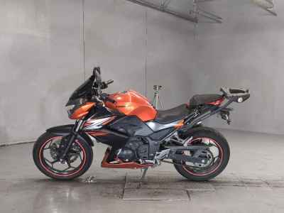 Kawasaki Z250 2014
