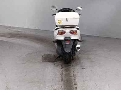 Honda Forza Z 2010