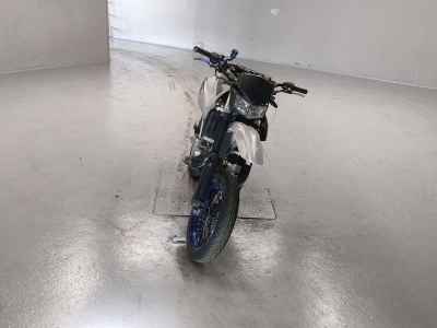 Kawasaki D-Tracker 250 X