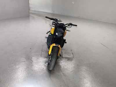 Triumph Trident 660 2025