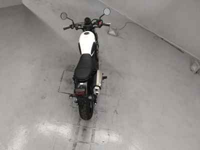 Honda CL250 2023