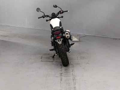 Honda CL250 2023