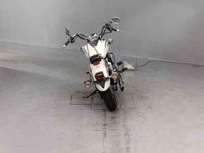 Yamaha XVS250 Drag Star